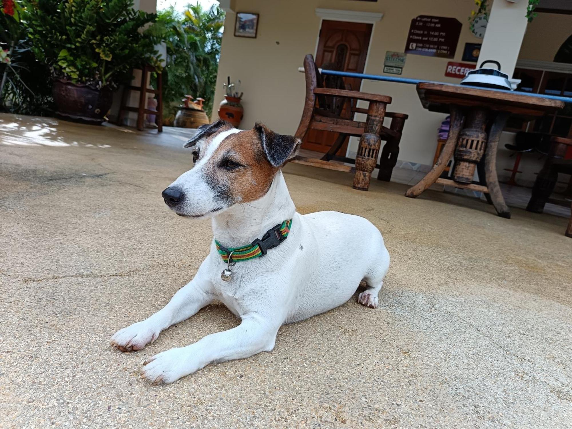 Stella Resort Sam Roi Yot Luaran gambar